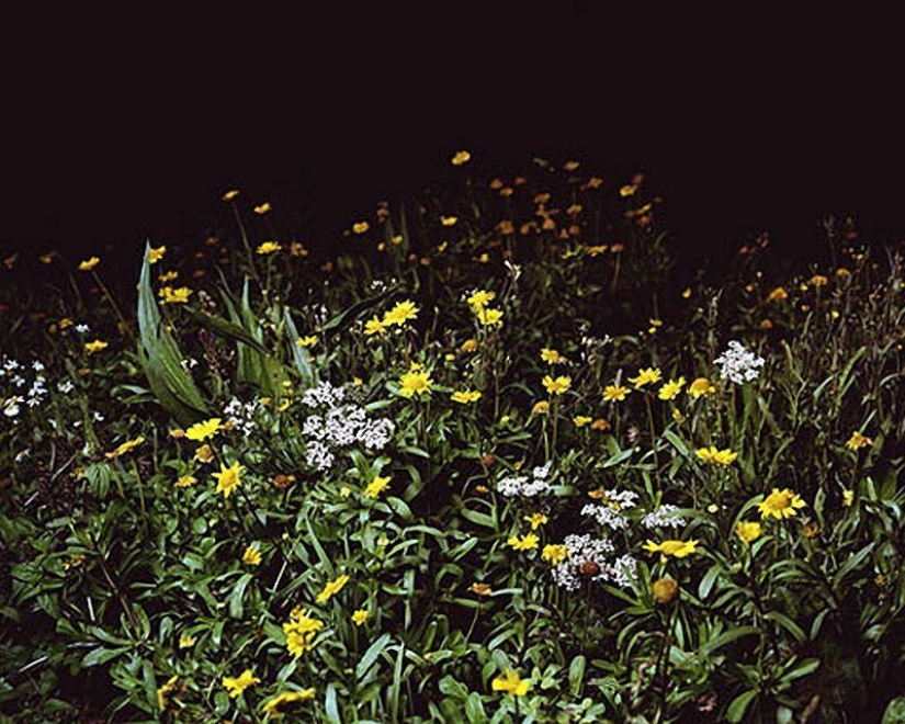 Rural disco in Spanish