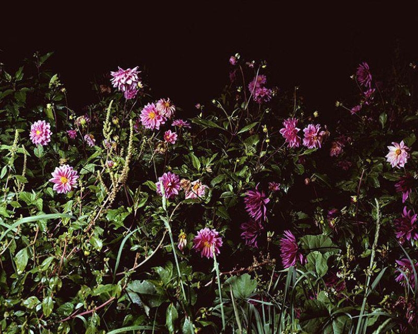 Rural disco in Spanish