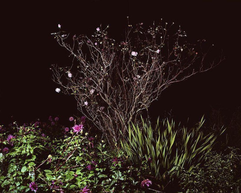 Rural disco in Spanish