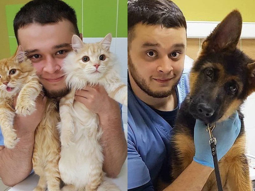 Russian Veterinarian Faces Jail for Saving Animals from Death