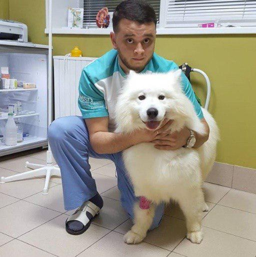Russian Veterinarian Faces Jail for Saving Animals from Death
