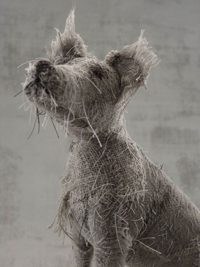 Sad dogs from... old rags