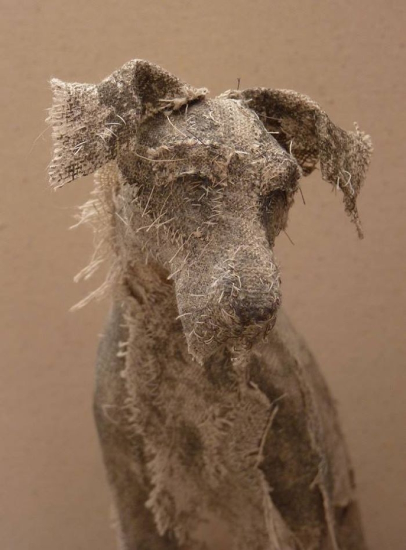 Sad dogs from... old rags
