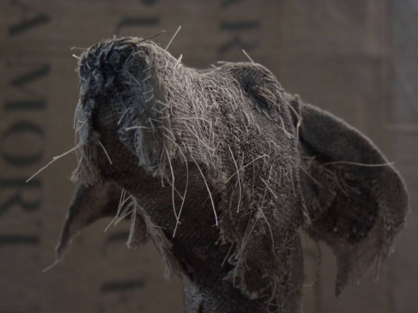 Sad dogs from... old rags