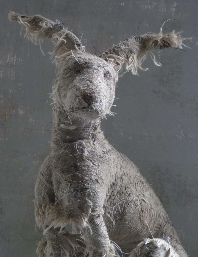 Sad dogs from... old rags