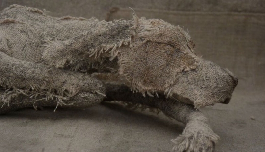 Sad dogs from... old rags Sad dogs from... old rags