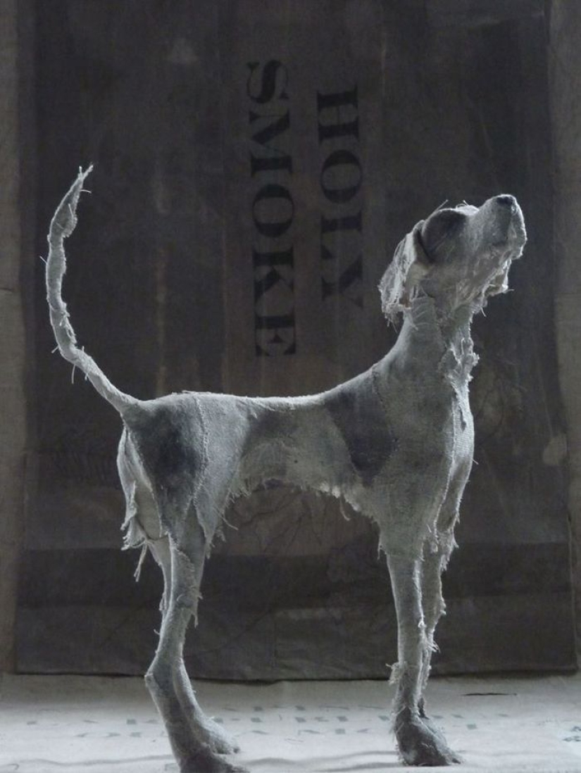 Sad dogs from... old rags