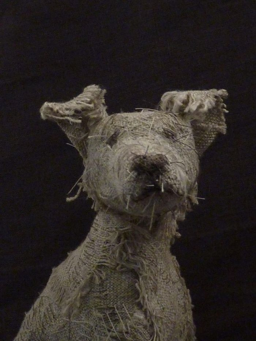 Sad dogs from... old rags