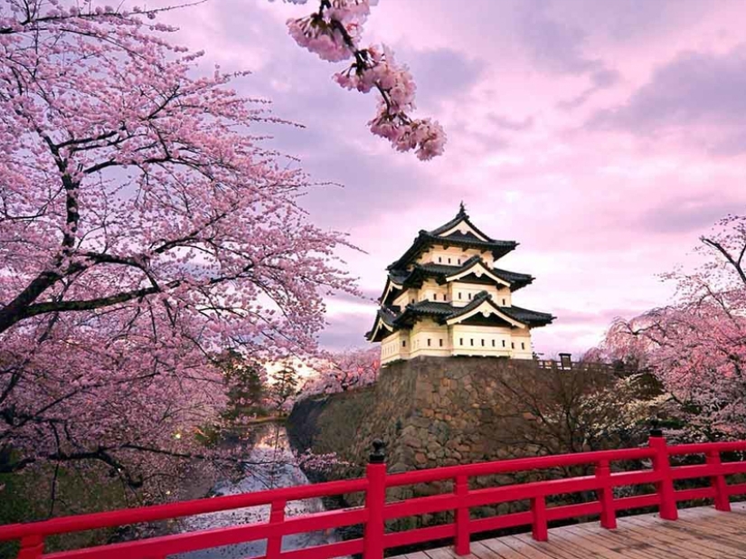 Safe harbor: TOP of the safest countries in the world Safe harbor: TOP of the safest countries in the world