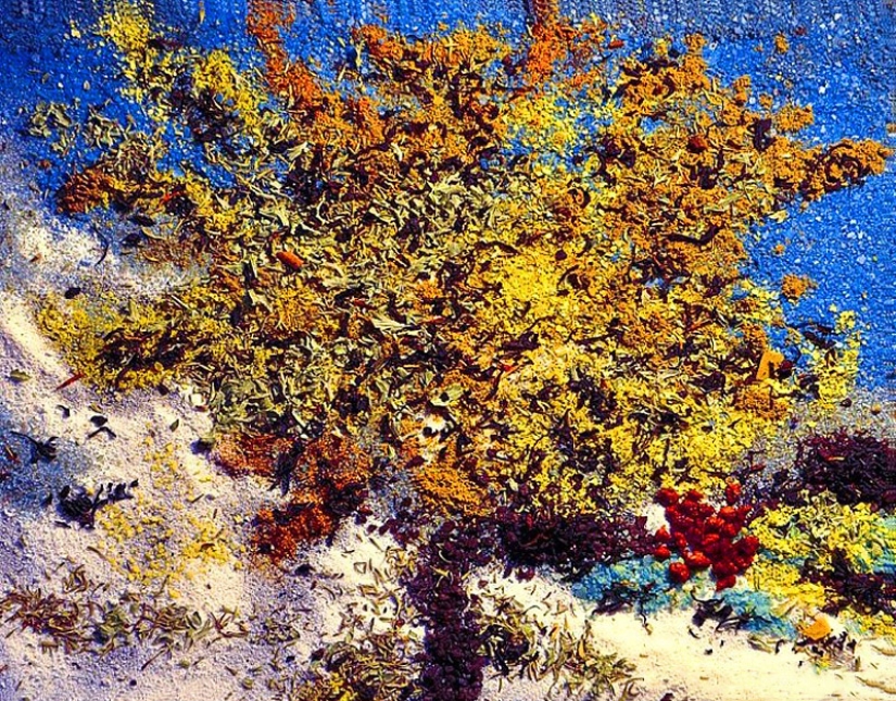 Salt and spice paintings