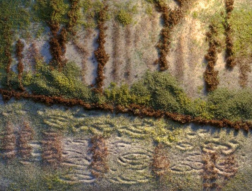 Salt and spice paintings