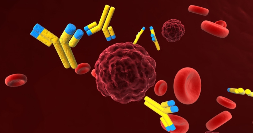 Salvation is coming: a new HIV vaccine has successfully passed human trials Salvation is coming: a new HIV vaccine has successfully passed human trials