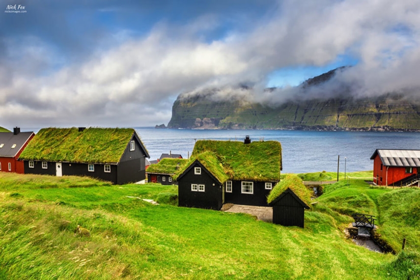 Scandinavian houses with green roofs that look like from a fairy tale