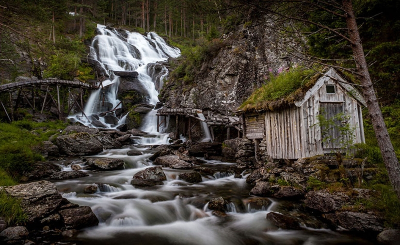 Scandinavian houses with green roofs that look like from a fairy tale