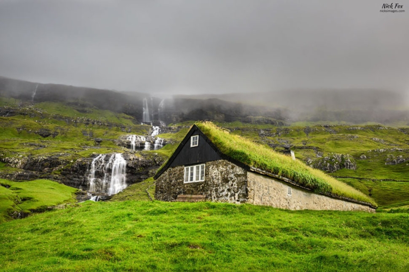 Scandinavian houses with green roofs that look like from a fairy tale