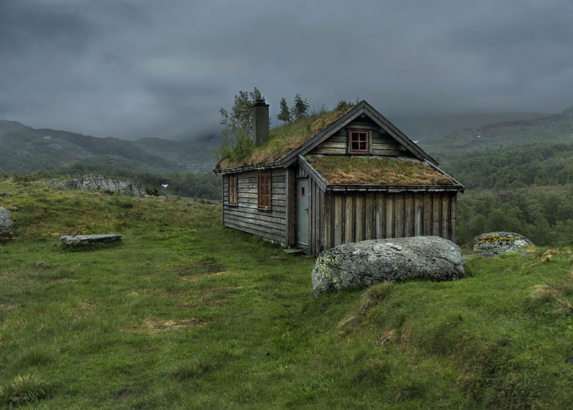 Scandinavian houses with green roofs that look like from a fairy tale