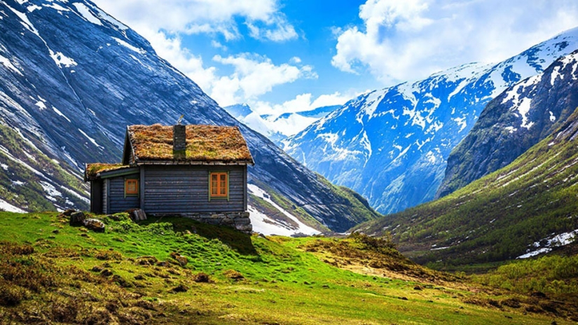 Scandinavian houses with green roofs that look like from a fairy tale