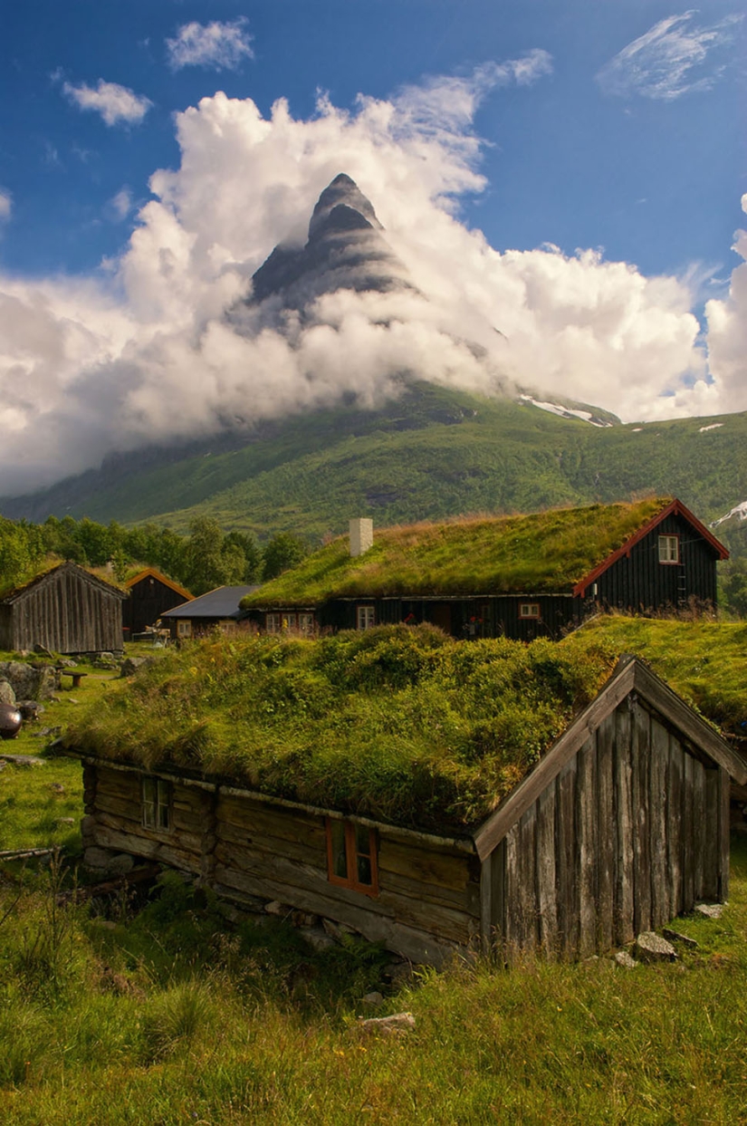 Scandinavian houses with green roofs that look like from a fairy tale