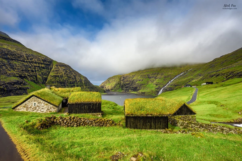 Scandinavian houses with green roofs that look like from a fairy tale