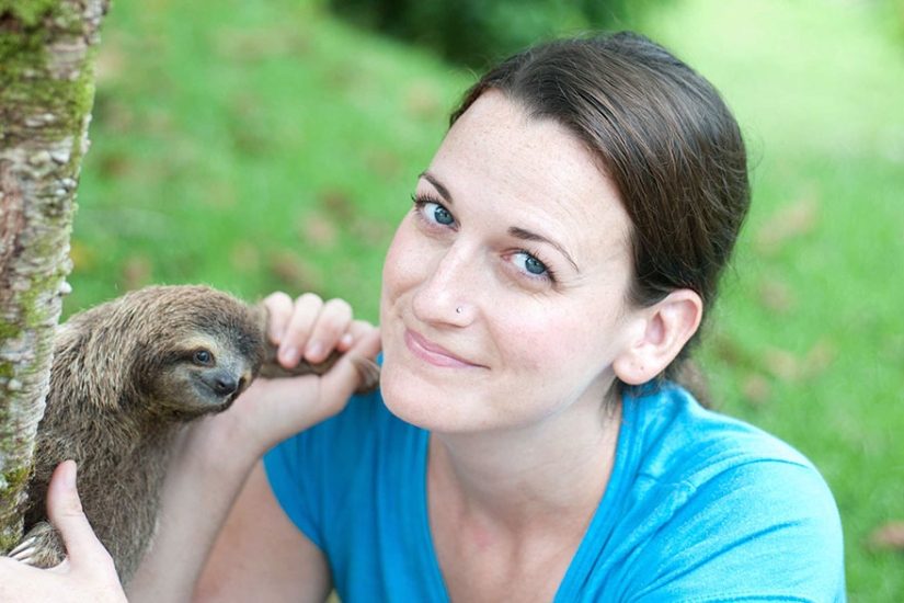 Scientists from Costa Rica take care of little sloths, replacing their own mothers Scientists from Costa Rica take care of little sloths, replacing their own mothers