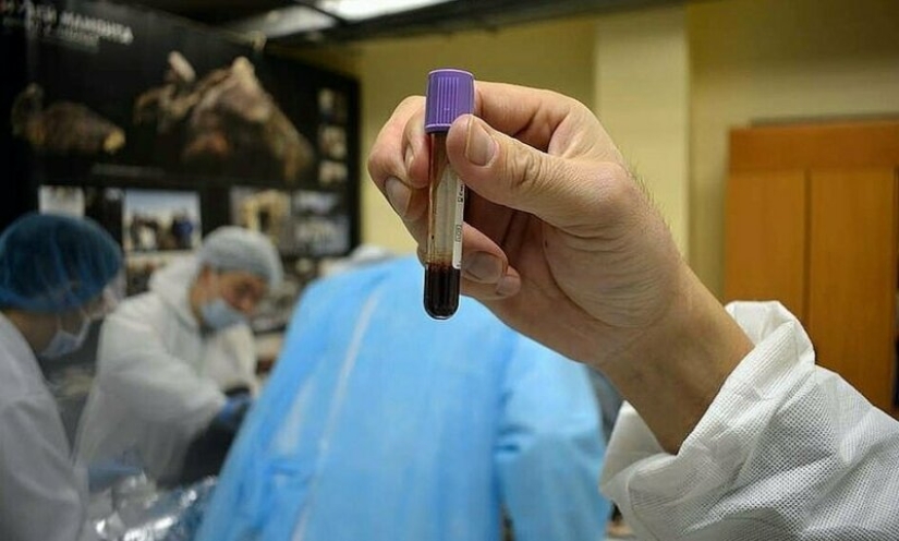 Scientists from Russia and Korea plan to clone a prehistoric horse