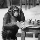 Scientists from the USA crossed a human and a chimpanzee 100 years ago, but the hybrid had to be euthanized