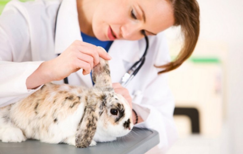Scientists have created artificial reproductive organs and they cope with their functions
