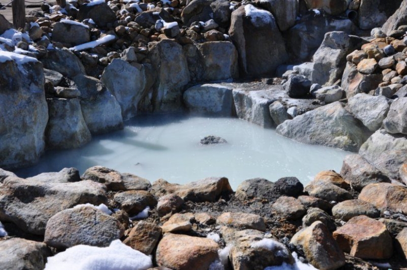 Scrambled eggs for a dollar or elite eggs for 89 dollars: what to choose for breakfast in Tokyo? Scrambled eggs for a dollar or elite eggs for 89 dollars: what to choose for breakfast in Tokyo?