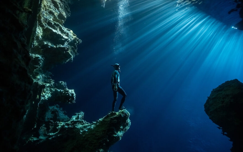 Se acaban de anunciar los finalistas de los Ocean Photography Awards Se acaban de anunciar los finalistas de los Ocean Photography Awards