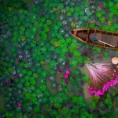 Se han anunciado las mejores fotos de drones de 2017