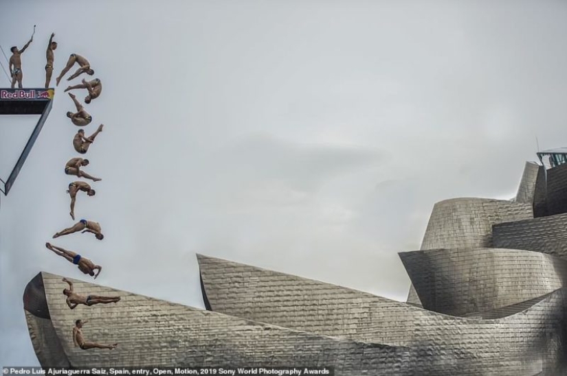 Selfies of nuns, fascinating iceberg and debauchery in Jerusalem: who will be the winner of the Sony World Photography Awards 2019
