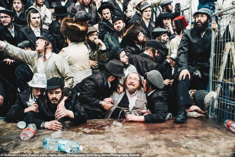 Selfies of nuns, fascinating iceberg and debauchery in Jerusalem: who will be the winner of the Sony World Photography Awards 2019