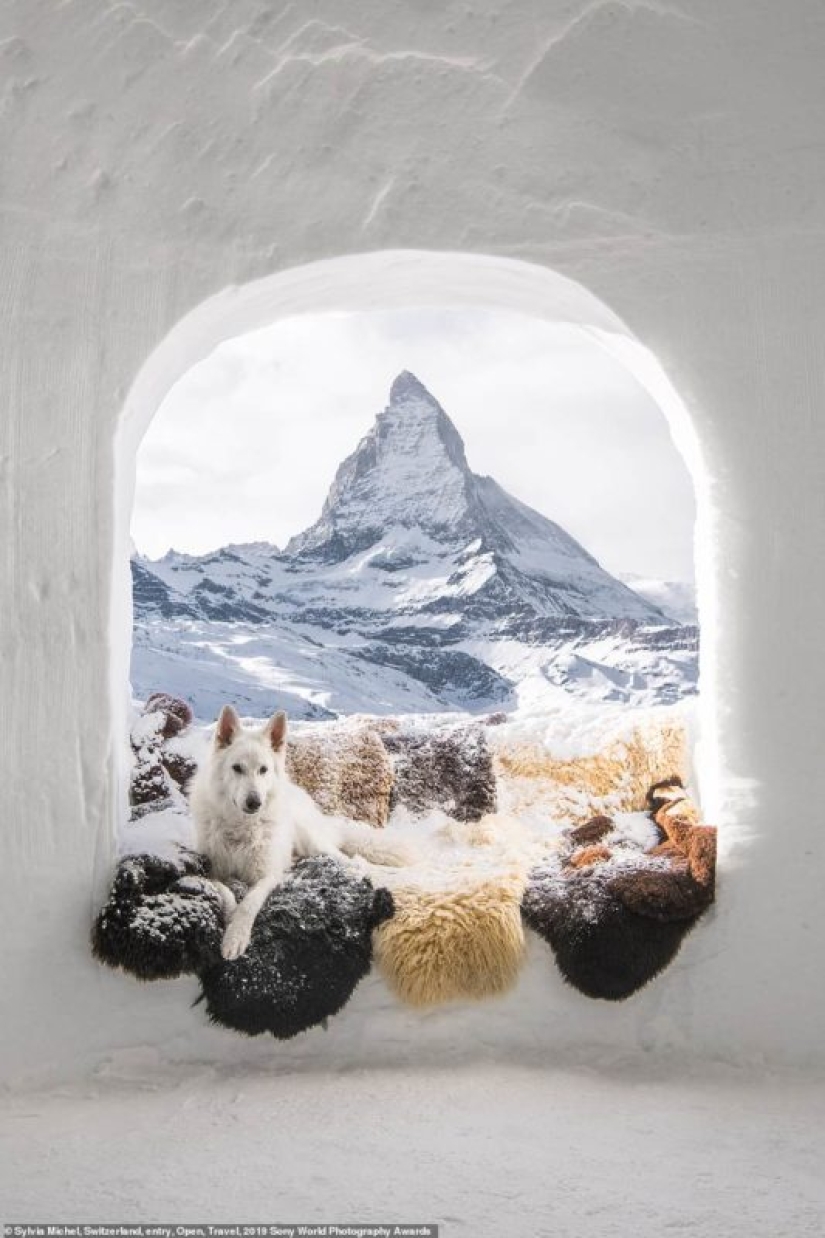 Selfies of nuns, fascinating iceberg and debauchery in Jerusalem: who will be the winner of the Sony World Photography Awards 2019