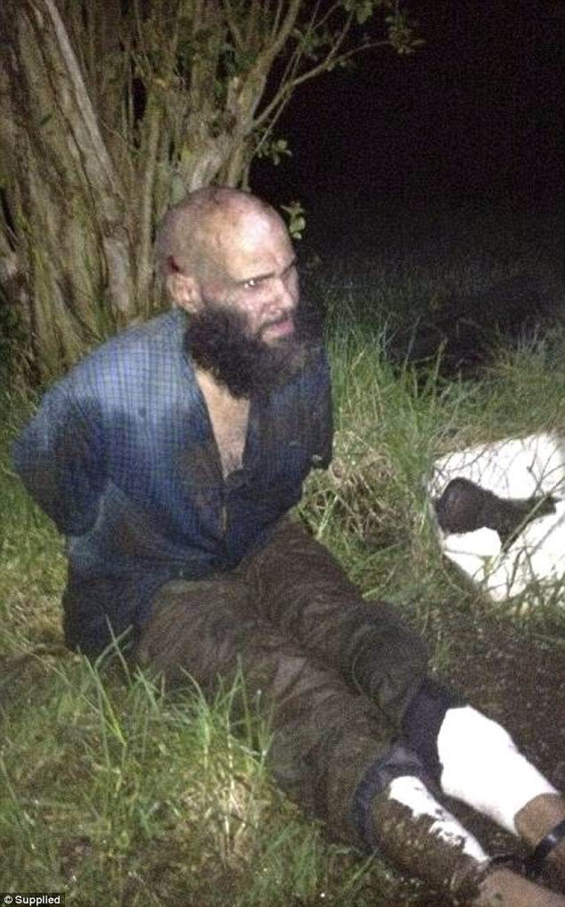 Serial killer from Australia lived secretly in a zoo for 7 years, stealing fruit from animals Serial killer from Australia lived secretly in a zoo for 7 years, stealing fruit from animals