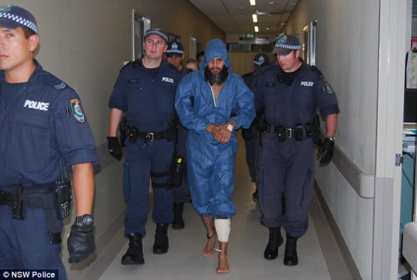 Serial killer from Australia lived secretly in a zoo for 7 years, stealing fruit from animals Serial killer from Australia lived secretly in a zoo for 7 years, stealing fruit from animals