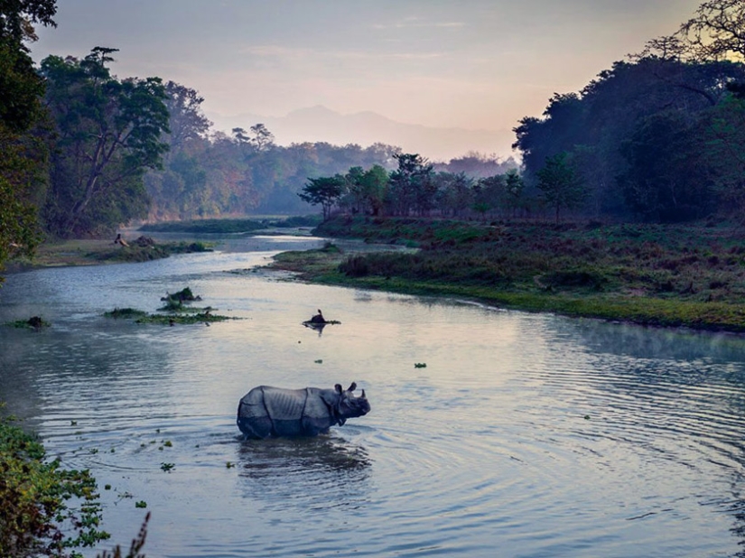 Seven Star Safari Experience