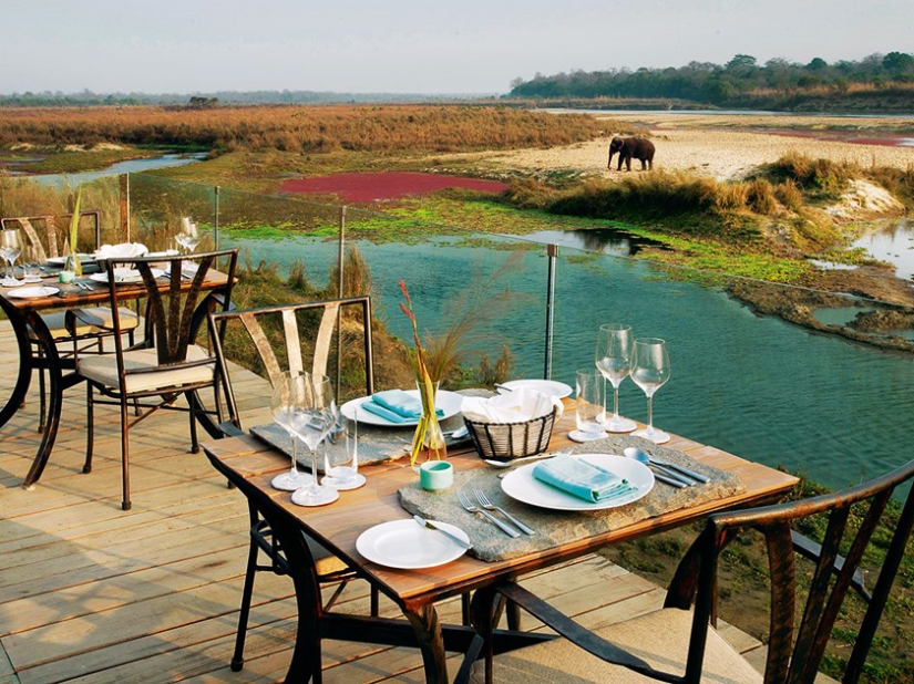 Seven Star Safari Experience