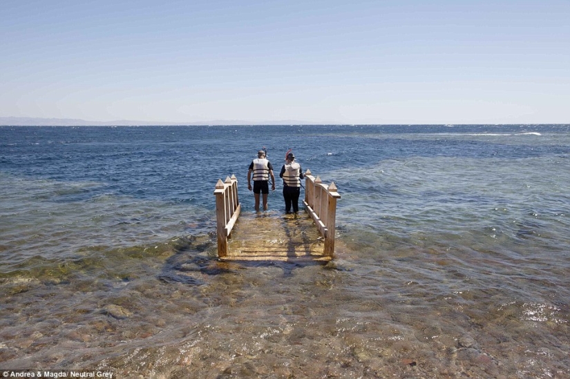 Sharm el-Sheikh: a ghost town? Sharm el-Sheikh: a ghost town?