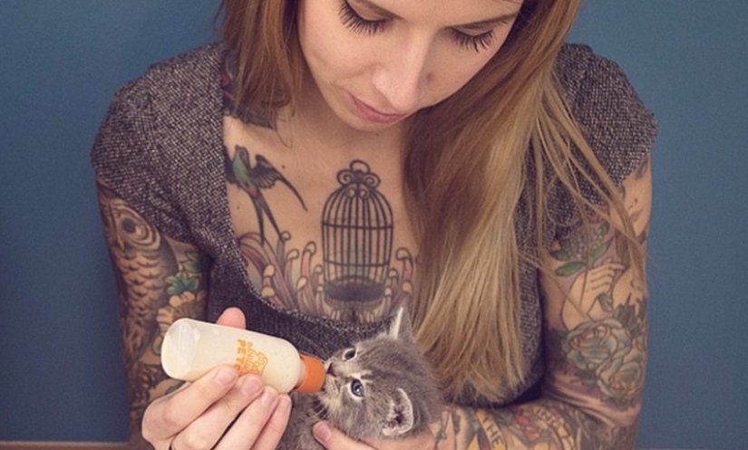 She saves kittens. The cutest job in the world