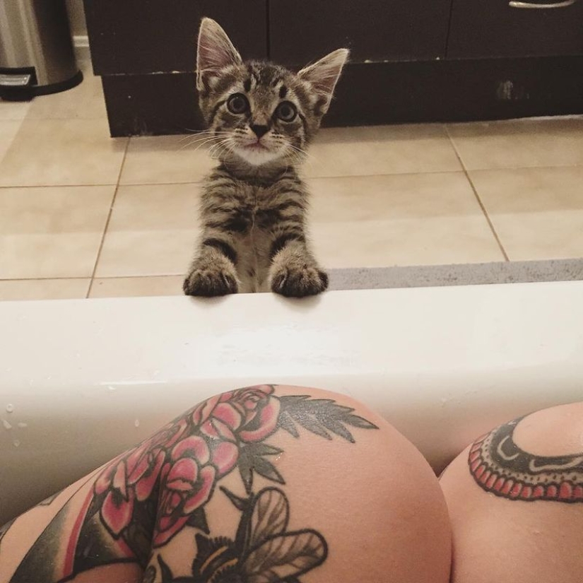 She saves kittens. The cutest job in the world