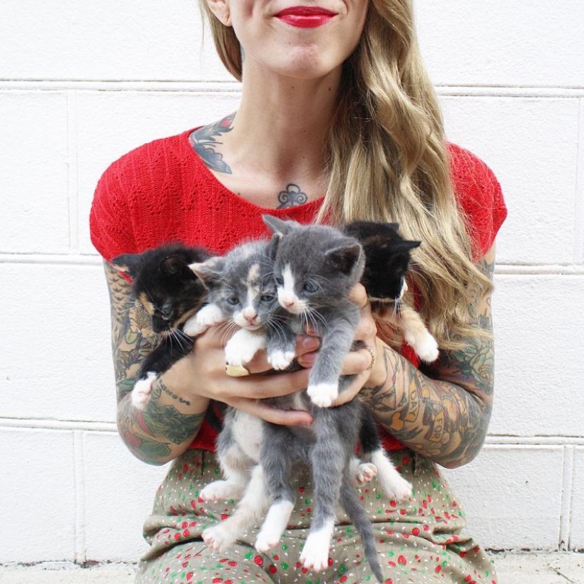 She saves kittens. The cutest job in the world
