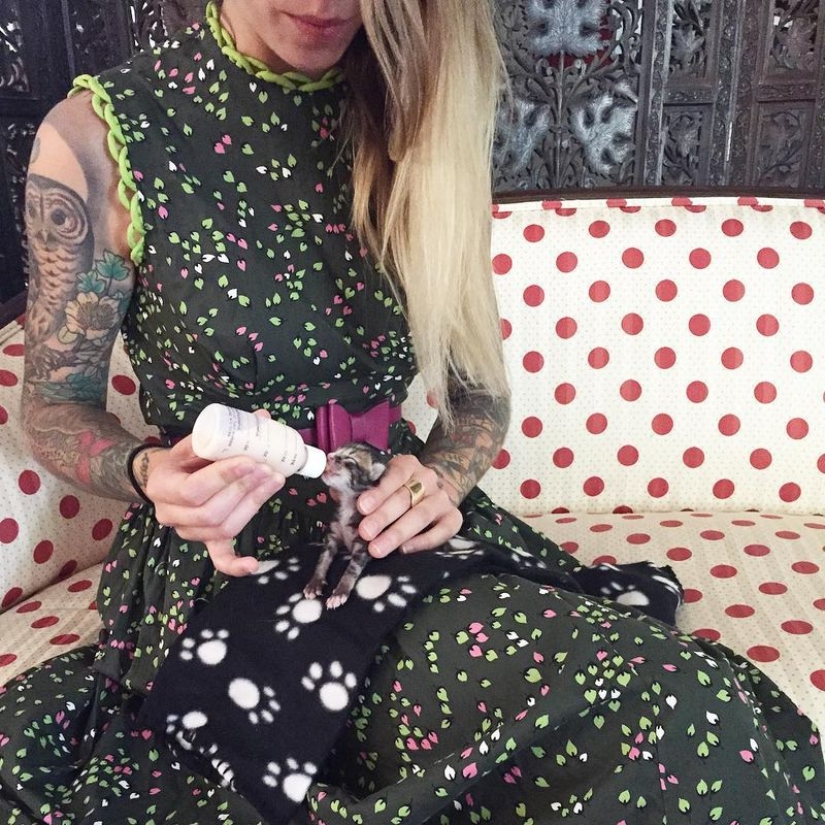 She saves kittens. The cutest job in the world