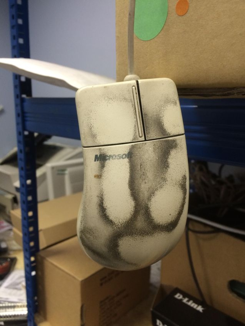 Shots that will make a normal IT specialist shudder with horror Shots that will make a normal IT specialist shudder with horror