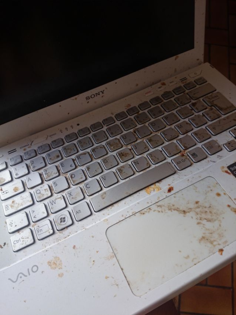 Shots that will make a normal IT specialist shudder with horror Shots that will make a normal IT specialist shudder with horror