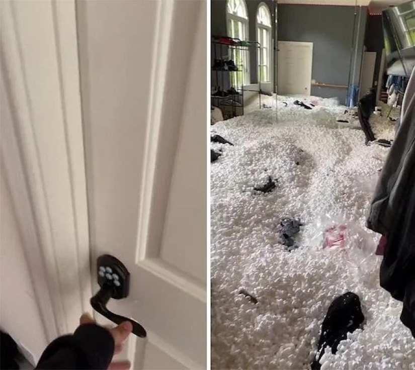 Show me your house! The 20 coolest places in the apartments of Tick-Tok users