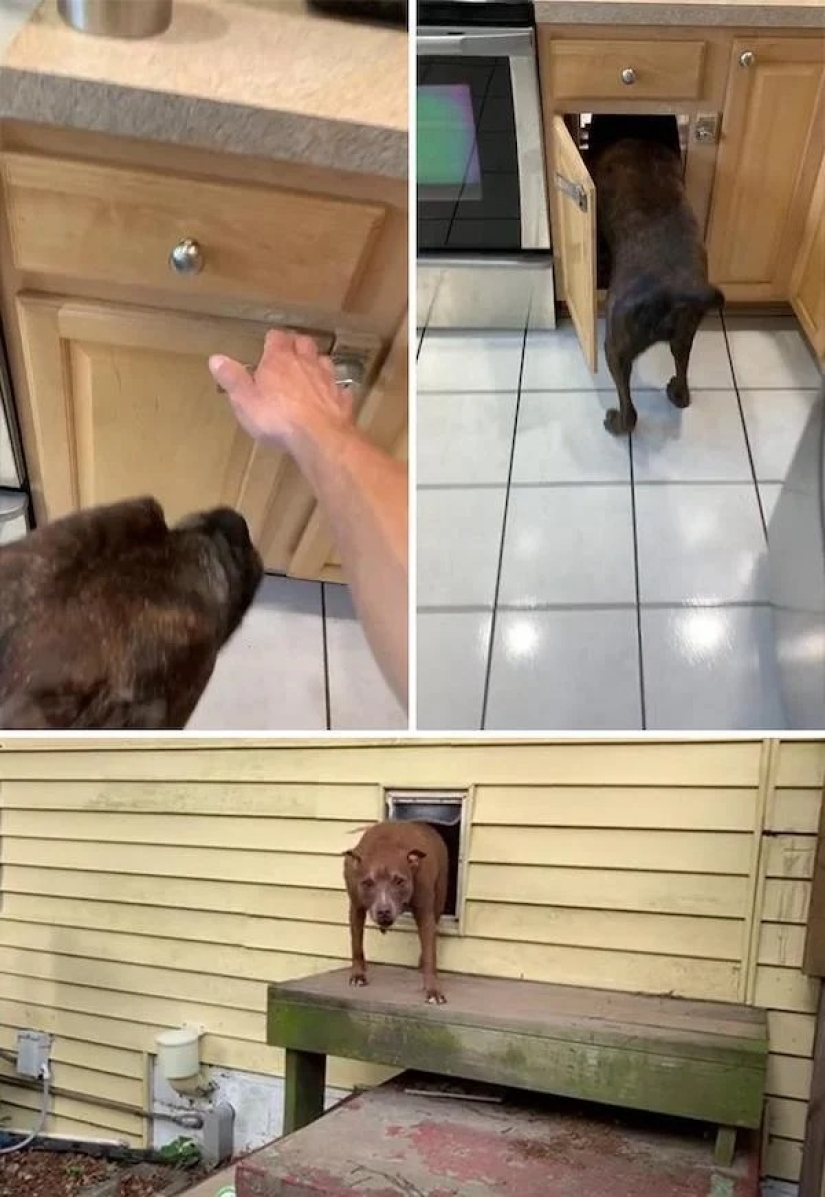 Show me your house! The 20 coolest places in the apartments of Tick-Tok users