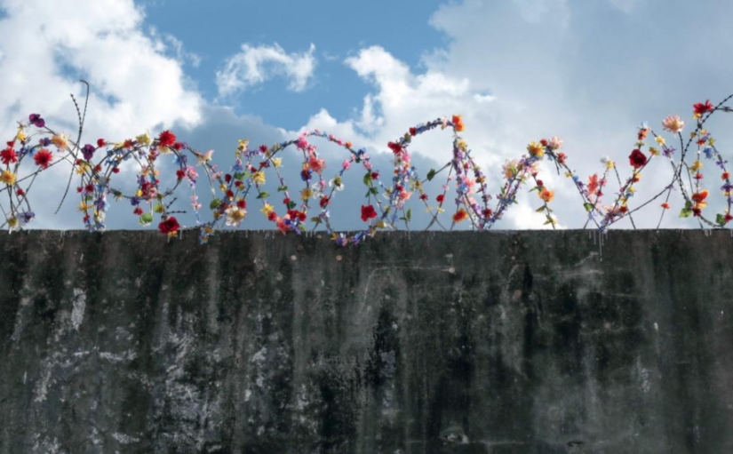 "Si te atrapan, te acusarán de satanismo": arte callejero prohibido de dos hermanos de Irán "Si te atrapan, te acusarán de satanismo": arte callejero prohibido de dos hermanos de Irán