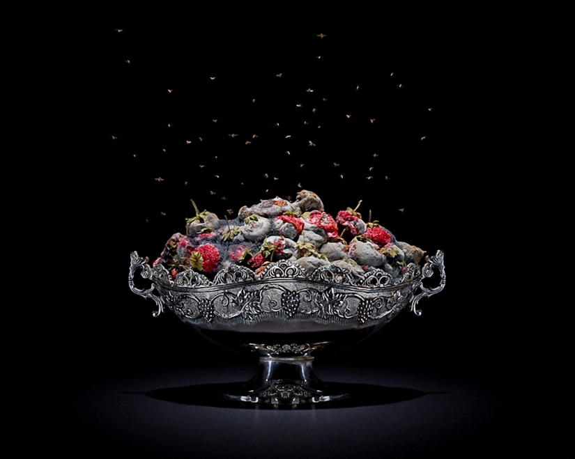 Sickeningly beautiful rotten food