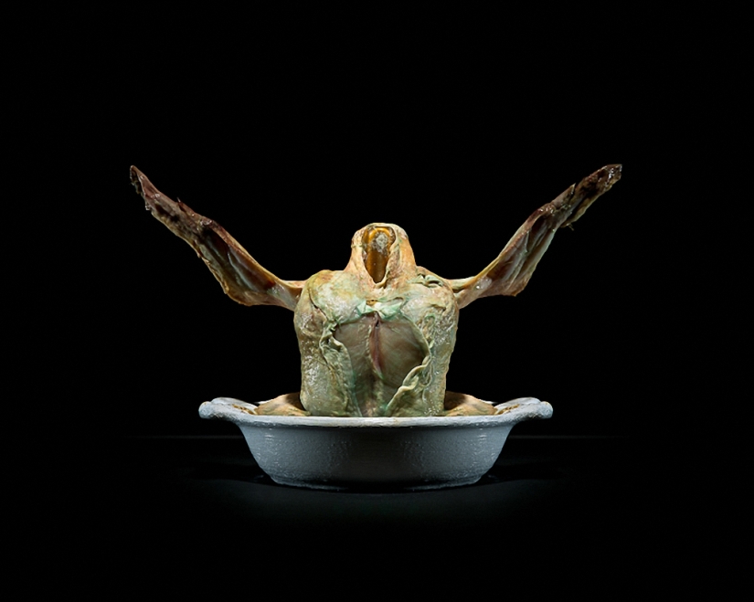 Sickeningly beautiful rotten food