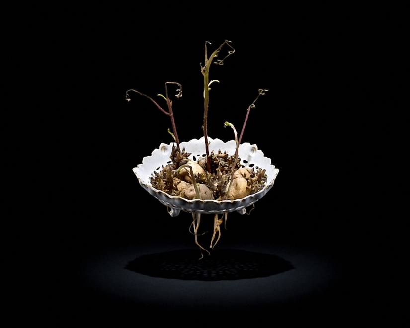 Sickeningly beautiful rotten food